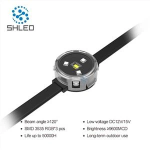 33mm LED Point Light Source