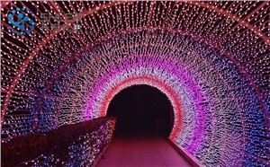 Ws2811 IP68 Bullet Led Pixel Light